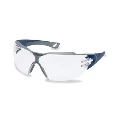 asgbox.pl - Okulary ochronne Pheos CX2 - przezroczyste (9198.257)