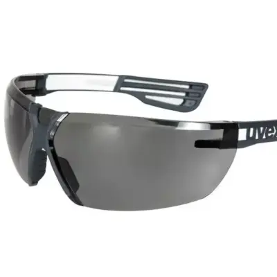 asgbox.pl - Okulary ochronne X-Fit Pro (9199.276)