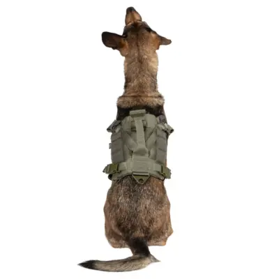 asgbox.pl - Szelki taktyczne dla psa - Ranger Green