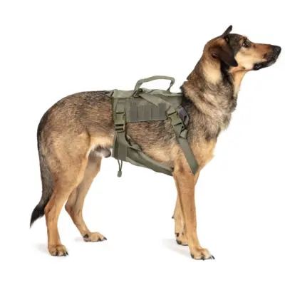 Alternative view of Szelki taktyczne dla psa - Ranger Green