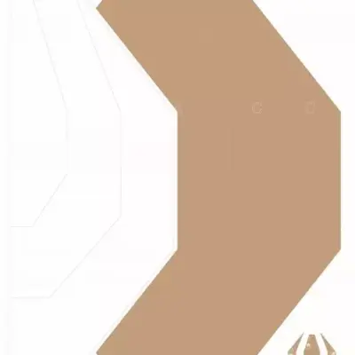 asgbox.pl - Tarcze strzeleckie IPSC-PT2 bok - 50szt