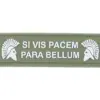 asgbox.pl - Naszywka 3D - SI VIS PACEM PARA BELLUM - zielona