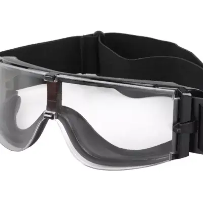 Alternative view of Gogle typu X800