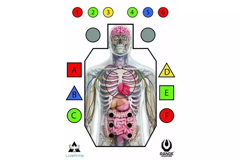 Tarcze strzeleckie "Live Arma" - 50 szt. RAN-14-031535-00 asgbox.pl asgbox.pl - Tarcze strzeleckie "Live Arma" - 50 szt.