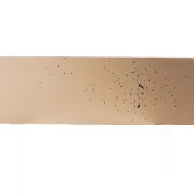 Replika karabinu AGM056B (OUTLET) OUT-72-037274-00 asgbox.pl Replika karabinu AGM056B (OUTLET) OUT-72-037274-00 asgbox.pl