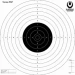 asgbox.pl - Tarcze Strzeleckie TS-2 PSP 50szt