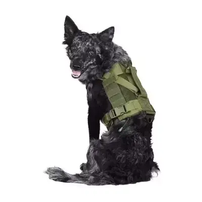 asgbox.pl - Szelki taktyczne dla psa Ochia - Oliwkowe