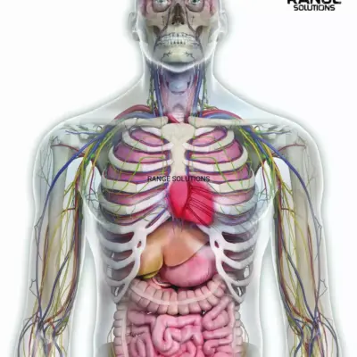 asgbox.pl - Tarcze Strzeleckie RS-Pegi18 - 500 szt.