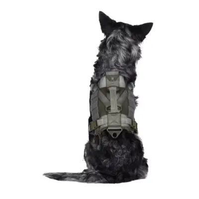 Szelki taktyczne dla psa - ranger green OD-G-PRI-18-021092-00 asgbox.pl