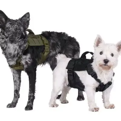 Szelki taktyczne dla psa - oliwkowe OD-G-PRI-18-021091-00 asgbox.pl