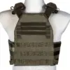 Plate Carrier TMPRG-03 -Ranger Green OD-G-MSK-18-035284-00 asgbox.pl