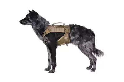 Szelki taktyczne dla psa Ochia - Coyote brown - obrazek 4