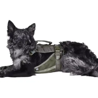 Szelki taktyczne dla psa - ranger green OD-G-PRI-18-021092-00 asgbox.pl