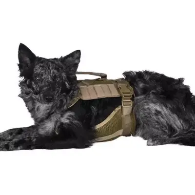 Szelki taktyczne dla psa - tan OD-G-PRI-18-021093-00 asgbox.pl