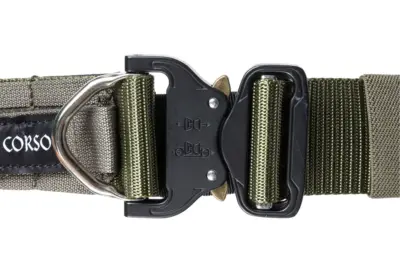 asgbox.pl - Pas taktyczny Corso Tactical Hook Molle MKII Ranger Green