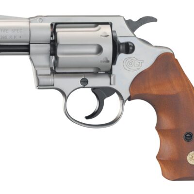 Colt Detective Special Nickel
