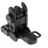 Pirate Arms M4SS Polymer Foldable Rear Sight Black OD-TM-12762906000 asgbox.pl