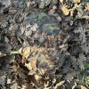 KMCS Pack Cover with 3D Leaves (L) – Next-Gen Brown OD-A-KM-Pack-L-NGB asgbox.pl