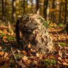 KMCS Pack Cover with 3D Leaves (L) – Next-Gen Brown OD-A-KM-Pack-L-NGB asgbox.pl