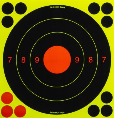 Targets Shoot-NC 20 cm - Birchwood Casey -