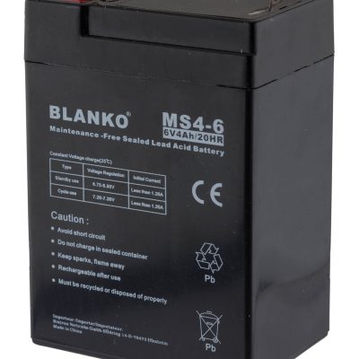 Batterie rechargeable MS4-6 6 volts