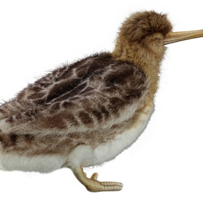 Alternative view of Peluche bécasse