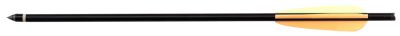 Traits d'arbalètes Ek Archery - Lot de 5 Traits  Blade 20''  - Aluminium - obrazek 3
