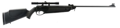 Carabine à air 4,5mm Beeman Bay Cat 16 J avec lunette 4x20 + plomb + cibles - obrazek 2
