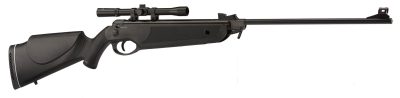 Carabine à air 4,5mm Beeman Bay Cat 16 J avec lunette 4x20 + plomb + cibles