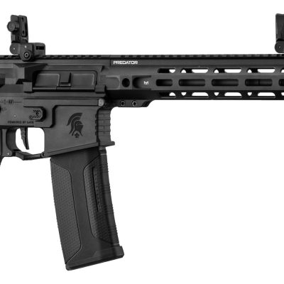 Réplique AEG LT-42 GEN4 Predator Carabine ASTER 13''