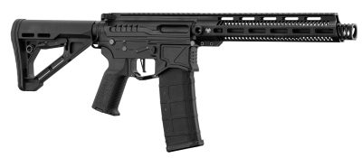 Réplique R15 mod 1 Zion Arms noire garde main long - - obrazek 2