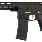Réplique R15 mod 1 Zion Arms noire et or garde main long -