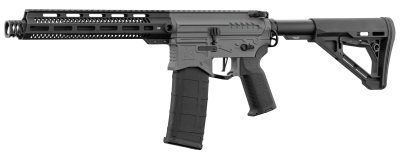 Réplique R15 mod 1 Zion Arms noir/gris garde main long -