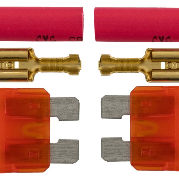 Lot de 2 mini fusibles - GATE -