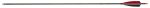 Carbon 32 '' spin 340 - feather arrows - Carbon arrows 32'' spin 340 - feathers