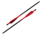 BARNETT HyperBolt C10 10'' x6 Demun -