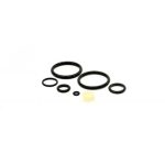 Polarstar Oring set for MRS regulator